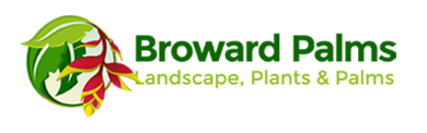 Broward Palms